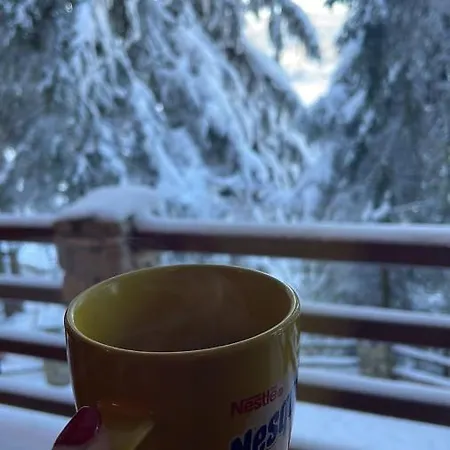 Oaza Mira Domek alpejski *
