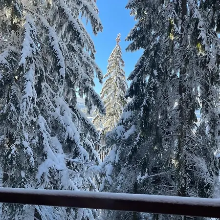 Oaza Mira Domek alpejski Vlašić