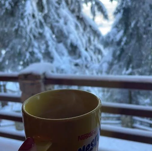 Oaza Mira Horská chata *