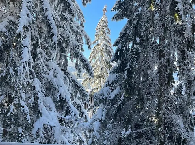 Oaza Mira Horská chata Vlašić